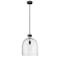 Z-Lite Pearson 1 Light Pendant, Matte Black And Clear Seedy 817-12MB - alternate 1